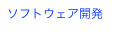 ソフトウェア開発